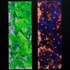 Abstract bookmark